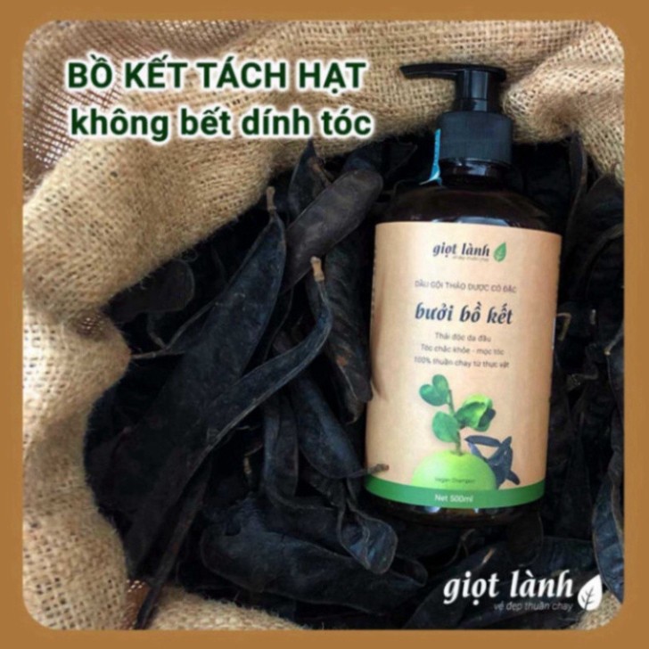 Dầu gội bồ kết - bưởi cô đặc, dầu gội thảo dược kích thích mọc tóc Giọt Lành giảm gãy rụng tóc, giảm gàu nấm 500ml