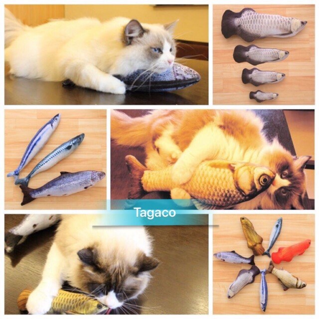 Cá Nhồi Bông Đồ Chơi Cho Mèo