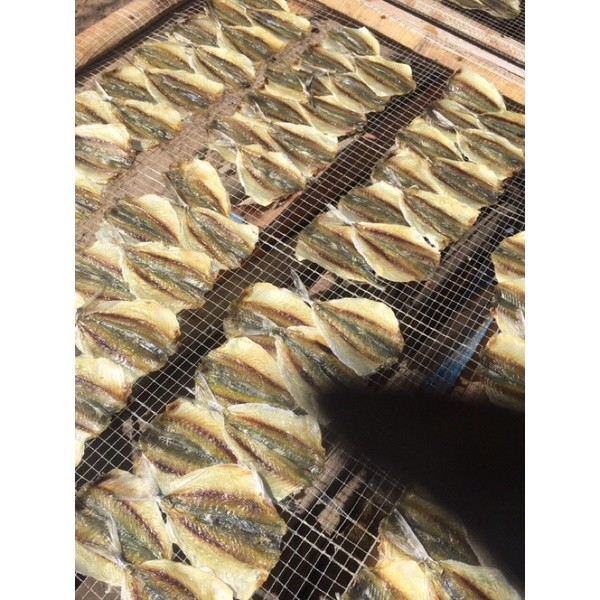 KHÔ CÁ CHỈ VÀNG CÀ MAU con lớn, thịt dầy, tẩm vị thơm ngon