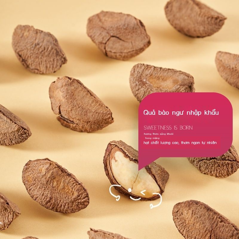 Hạt bào ngư hàng ngày 500g đóng gói số lượng lớn Đồ ăn nhẹ trái cây khô nguyên bản Brazil dành cho phụ nữ mang thai