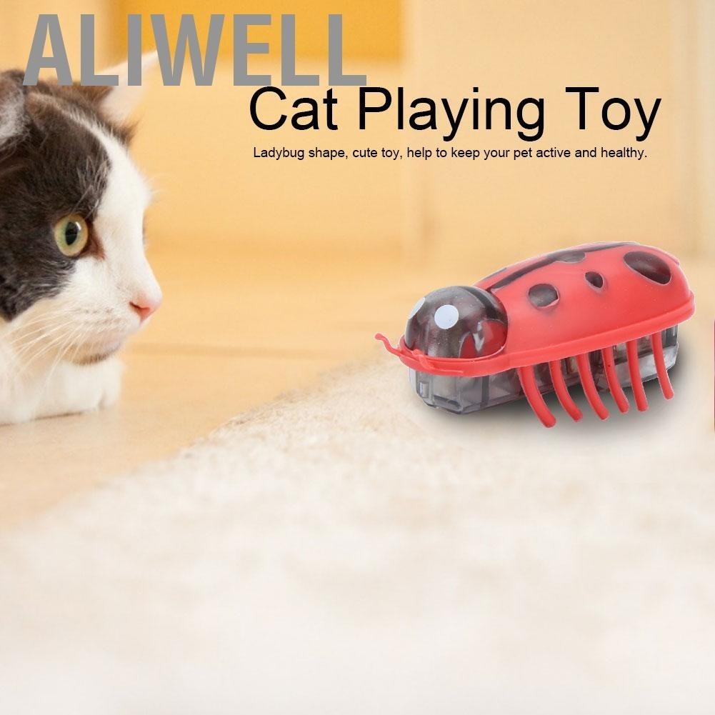 Aliwell Bicaquu Cat Playing Toy Electric Ladybug Shape Roll Automatically