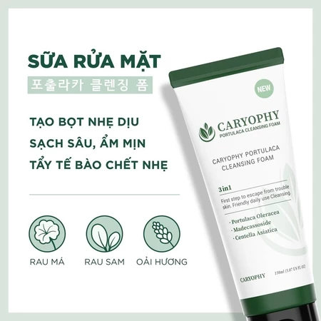 Sữa rửa mặt da dầu mụn Caryophy Portulaca Cleansing Foam Hàn Quốc ngừa mụn kiềm dầu sạch sâu 150ml